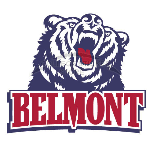 Customs Belmont Bruins 2003 Pres Primary Iron-on Transfers (Wall Stickers)NO.3772